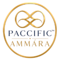 logo trans paciffic ammara